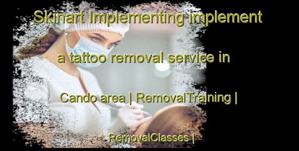 Skinart Implementing implement a tattoo removal service in Cando area | RemovalTraining | RemovalClasses | SkinartTraining-Canada